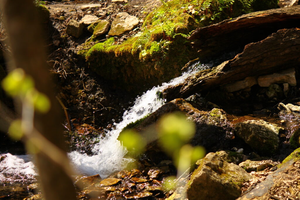 River with rocks and moss